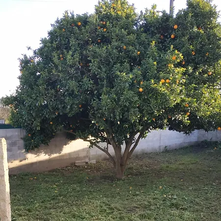 El Naranjo